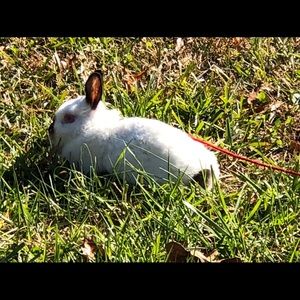 Meet your Posher, Steve
